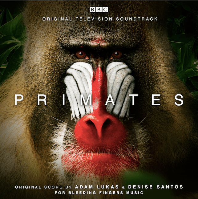 Soundtrack Album for BBC Earth’s ‘Primates’ Announced Film Music Reporter
