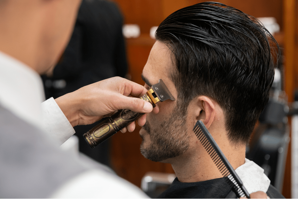 The Ultimate Grooming Experience What You Can Expect From A TopNotch