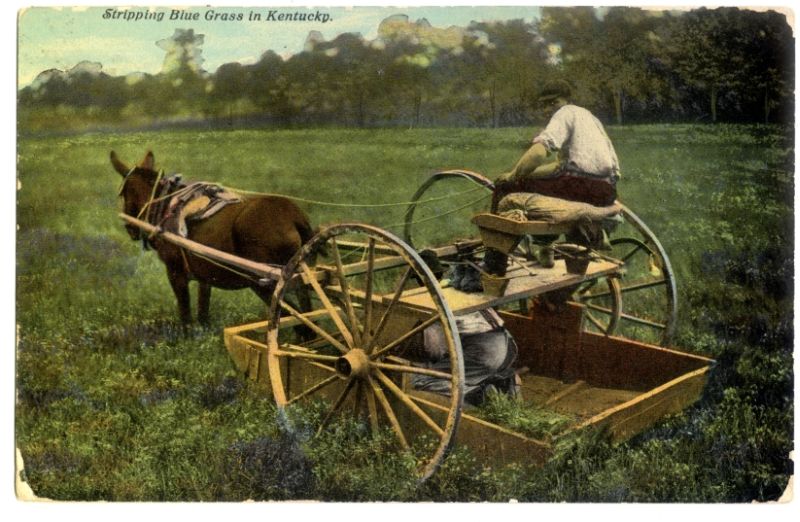 Agriculture in Kentucky The Filson Historical Society