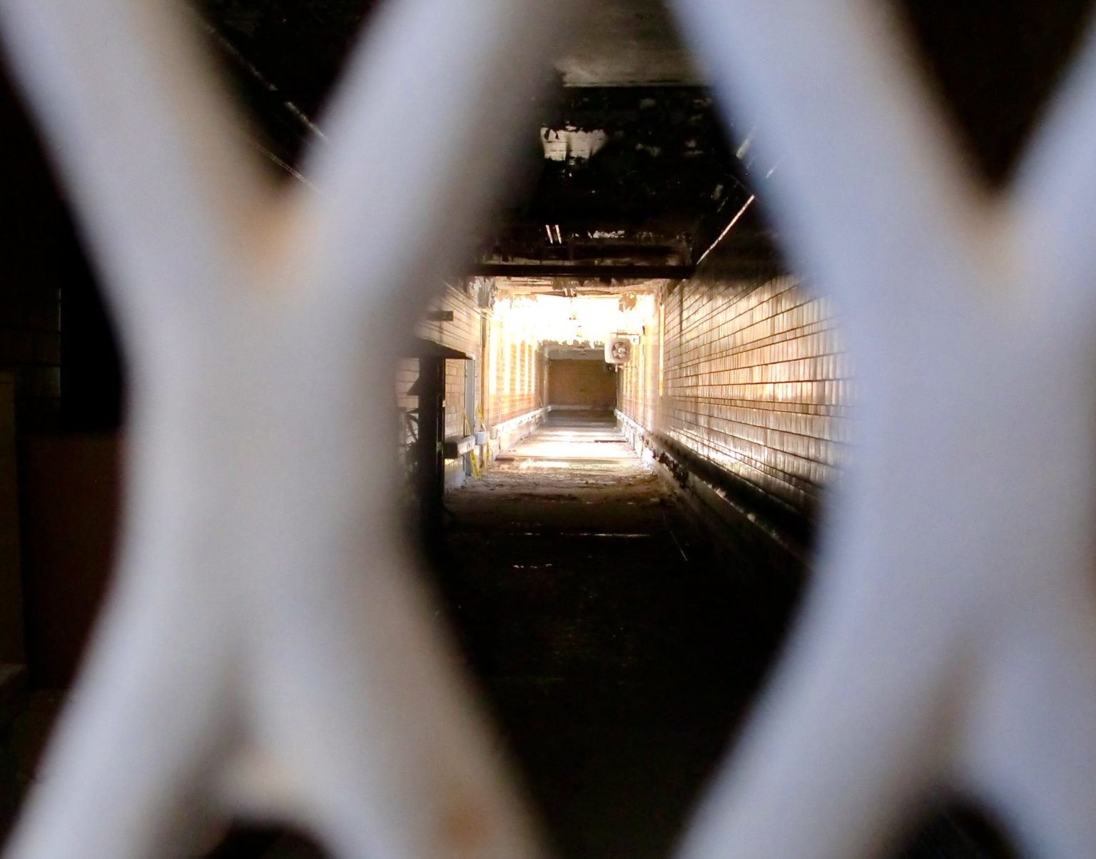 San Francisco's Proposal to Deport People for FentanylSales Charges