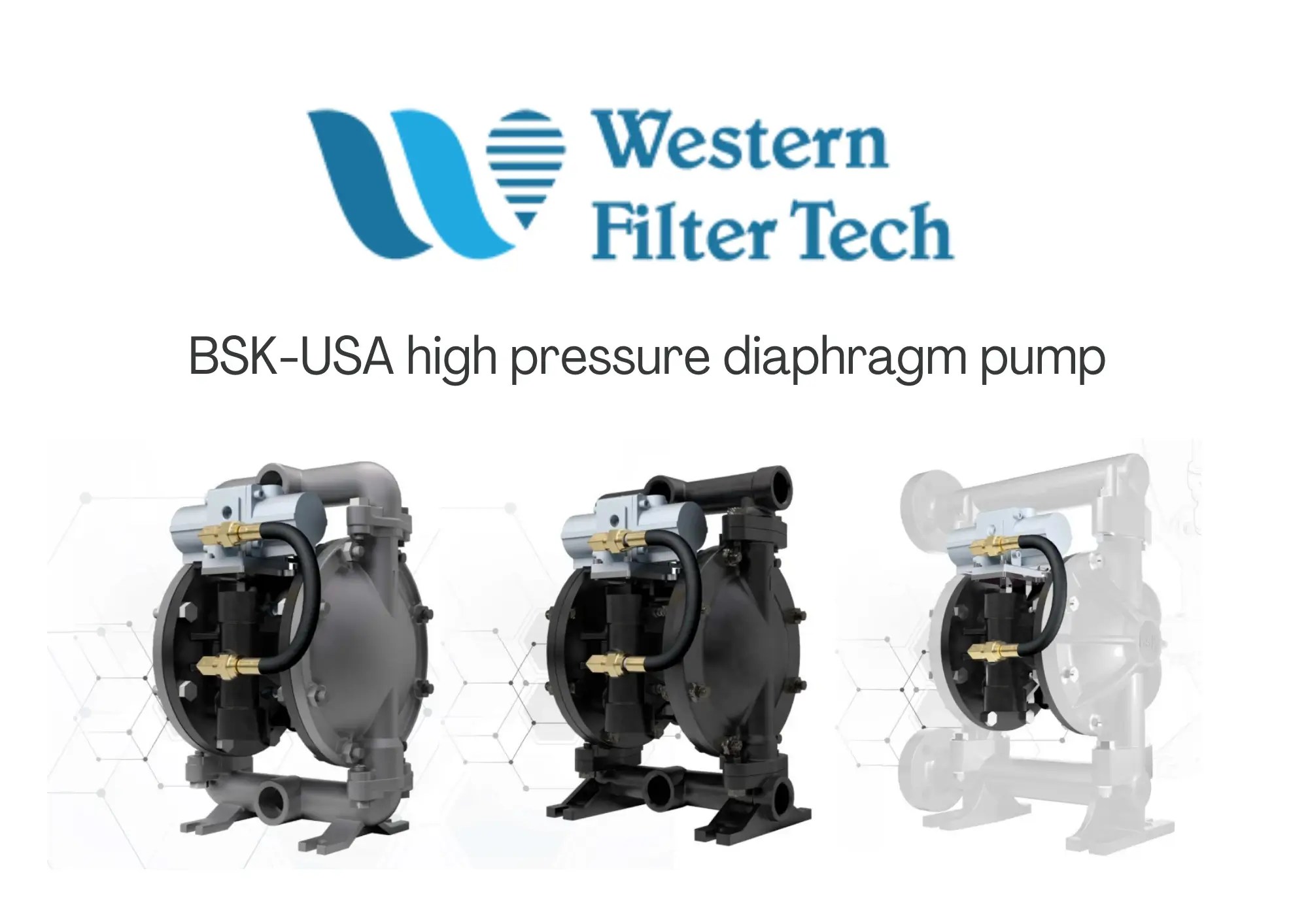 BSK high pressure diaphragm pump 1" HA25PPP991C Western Filter Technology Co., Ltd