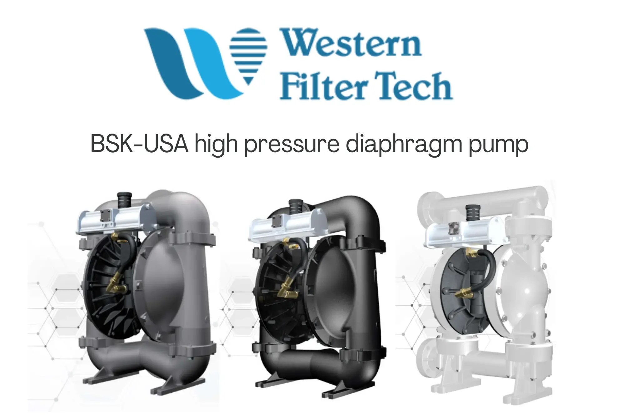 BSK high pressure diaphragm pump 2" HA50PPP991C Western Filter