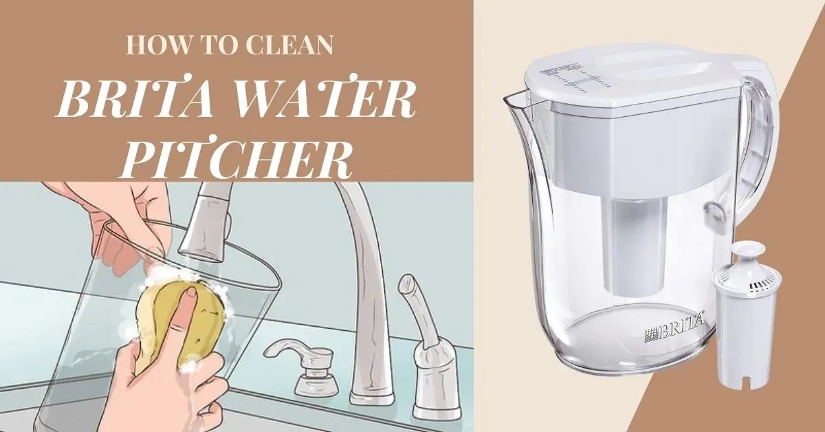 How to Clean Brita Water Pitcher?