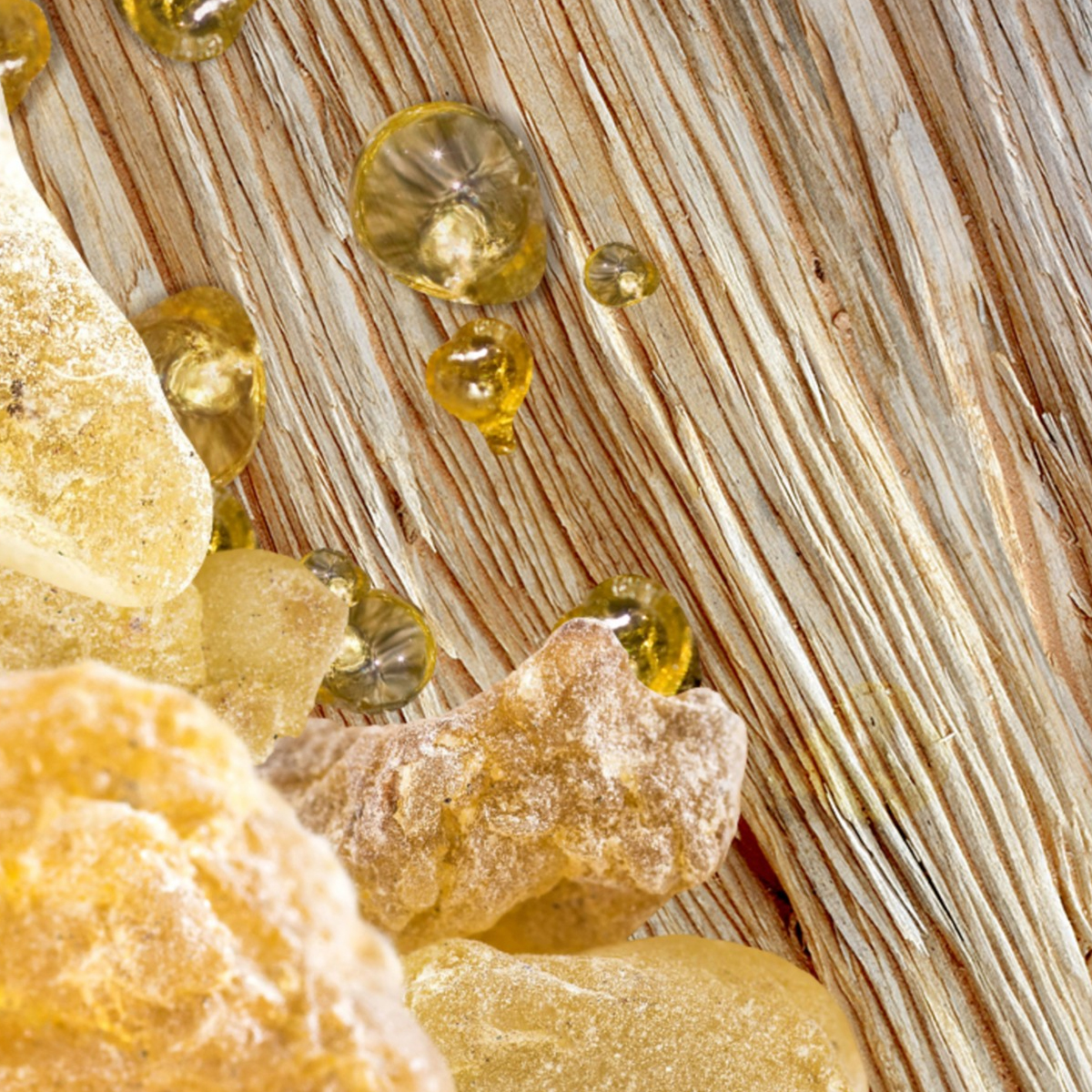Bvlgari Omnia Golden Citrine New Fragrances