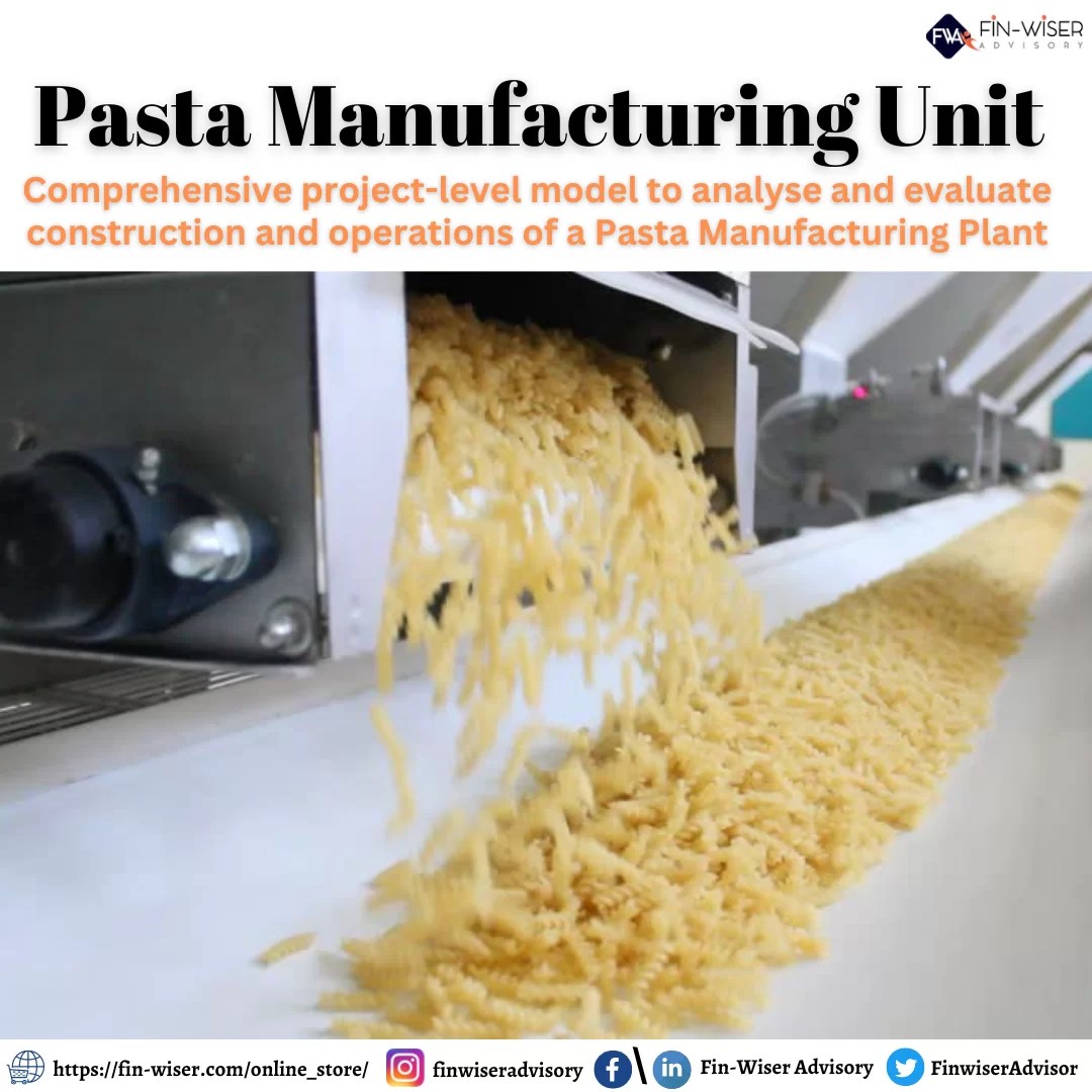 Pasta Factory Business Plan Model with 3 Statements, Cash Waterfall