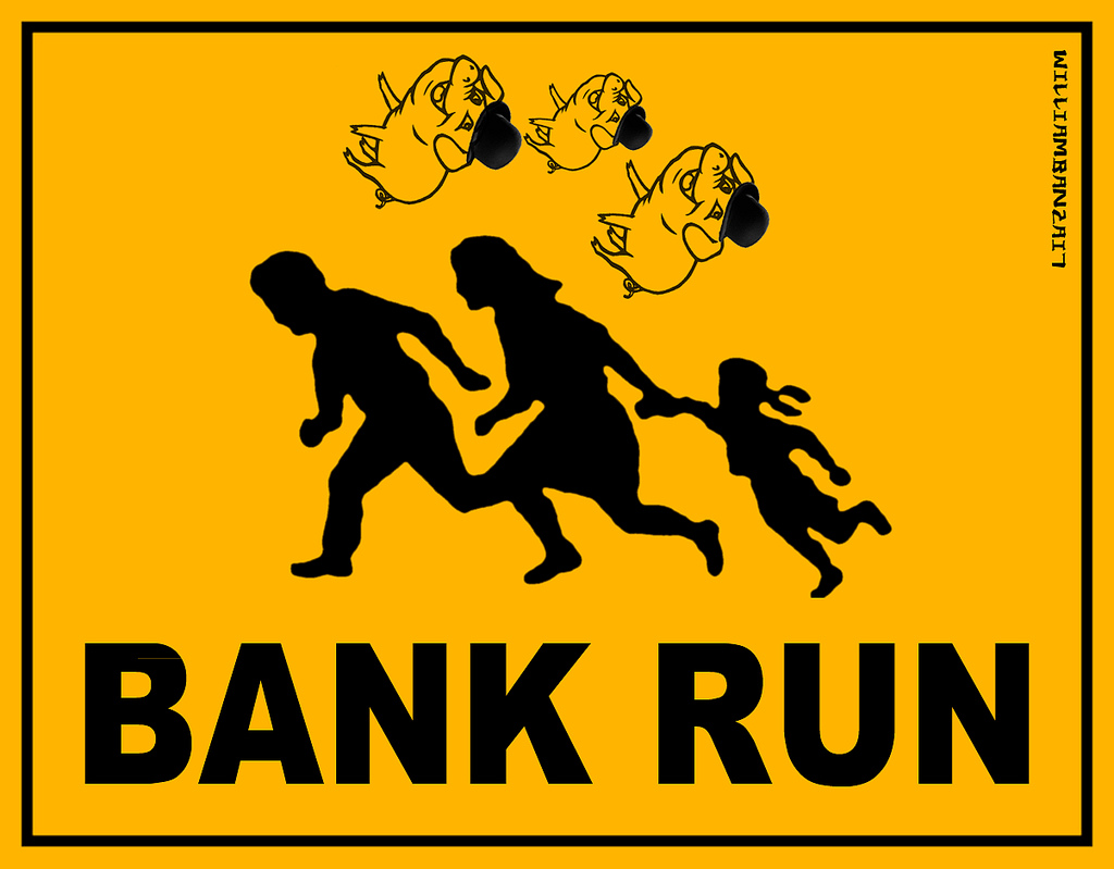 BANK RUN FINAL S CAPE