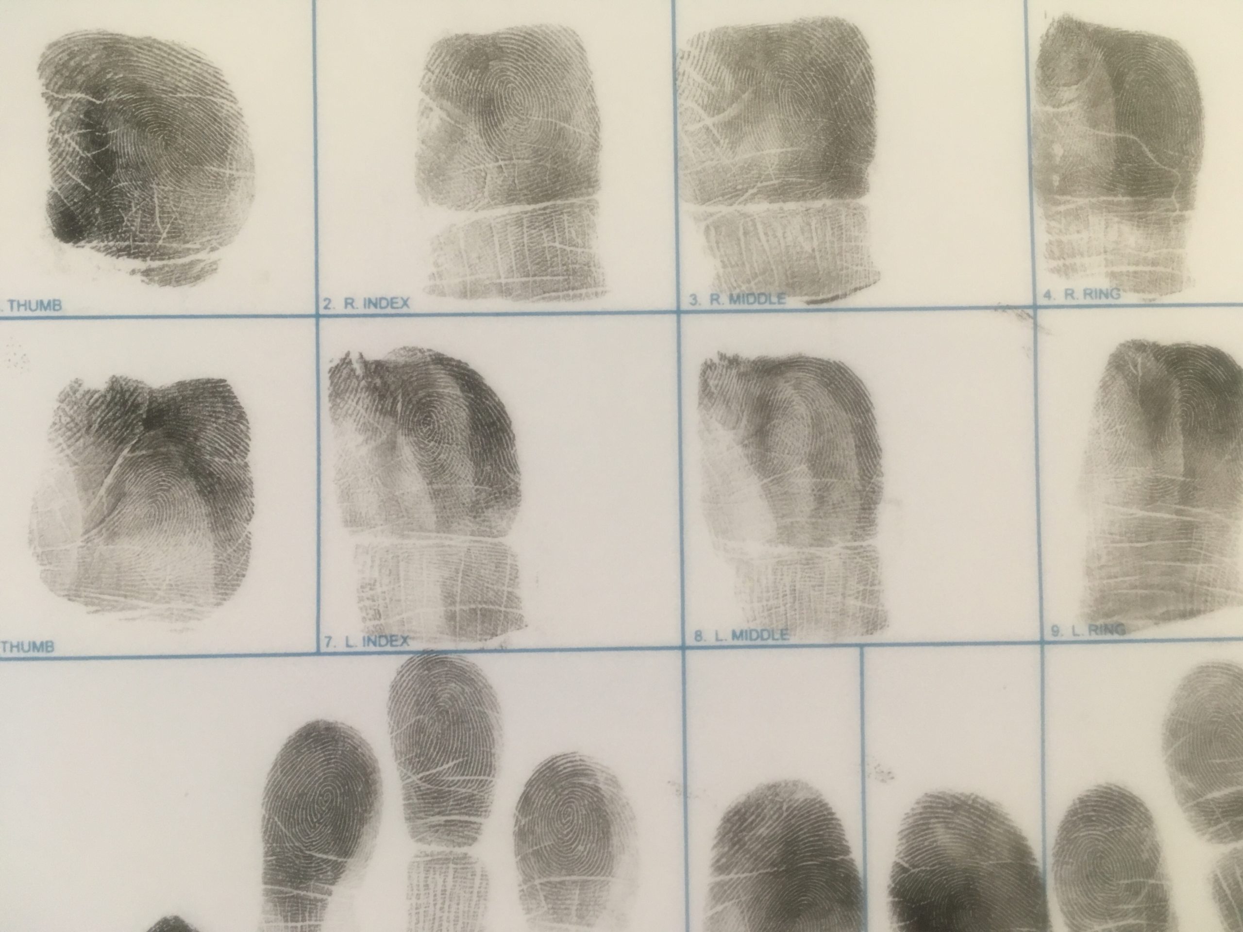 My Brush With the Law Final Touch Training