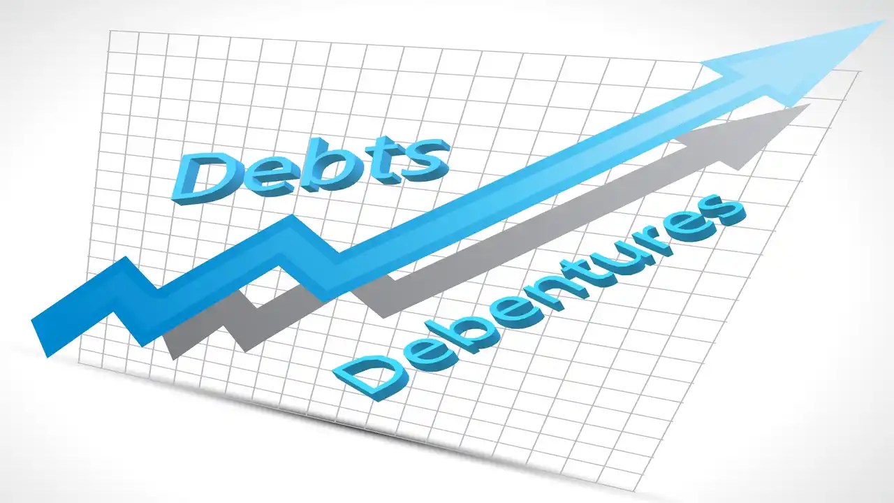 Debt Instruments Meaning, Examples, Types of Debt Instruments
