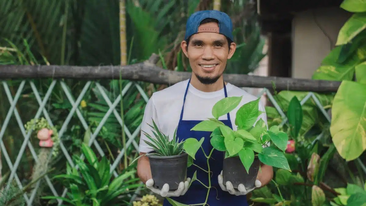 5 Steps To Make Money Selling Plants Finance Quick Fix