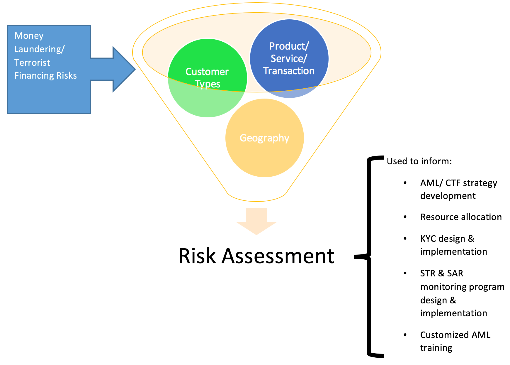 AntiMoney Laundering Programmes Systems
