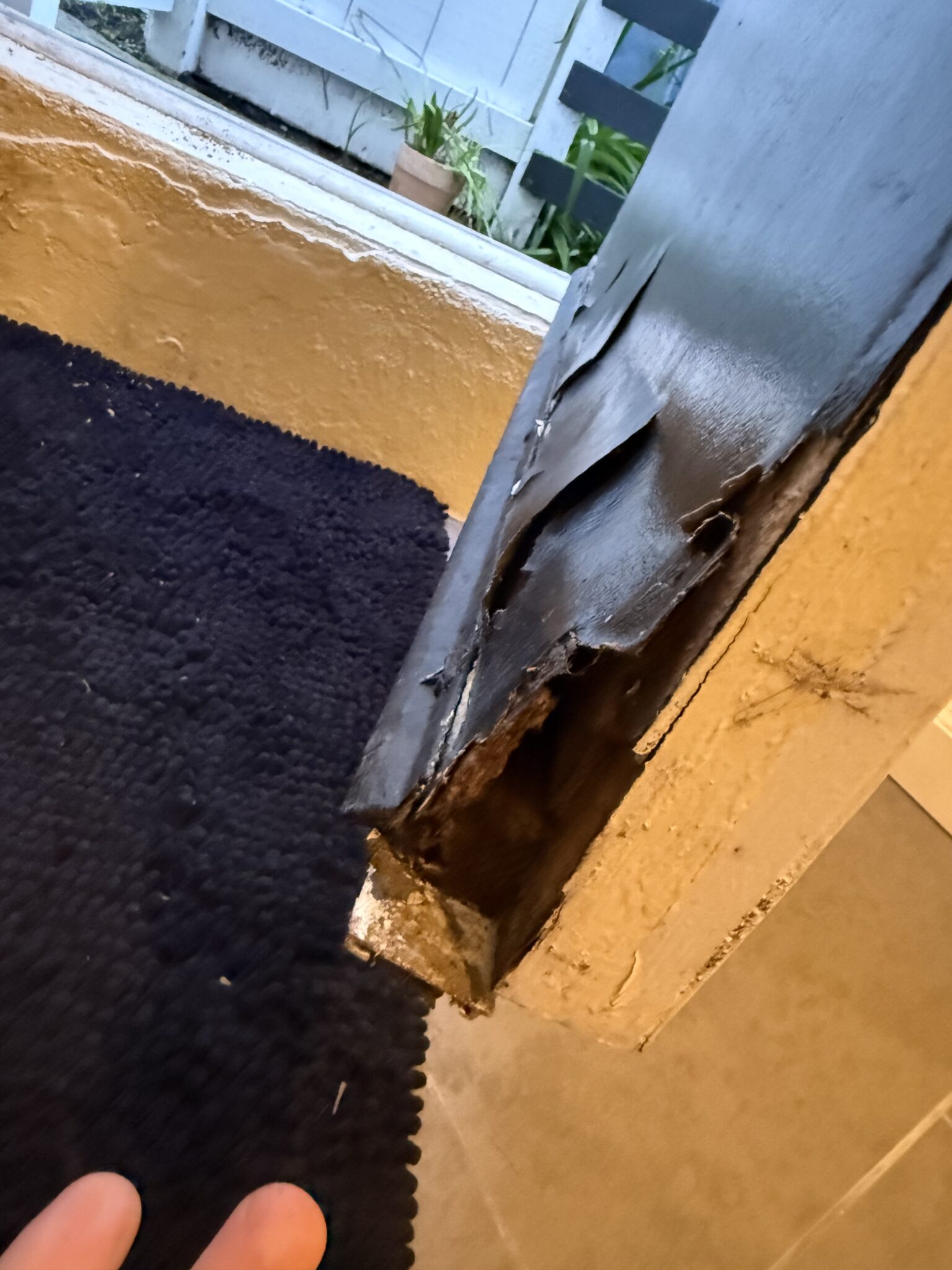 My rotten door and having purpose in retirement to fix it