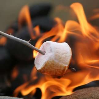 The Surprising Negatives Of Living The FIRE Lifestyle