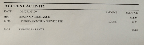 Bank Fees
