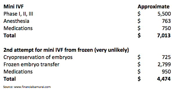 Mini IVF Costs