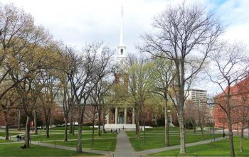 What if you go to Harvard University and end up a nobody?