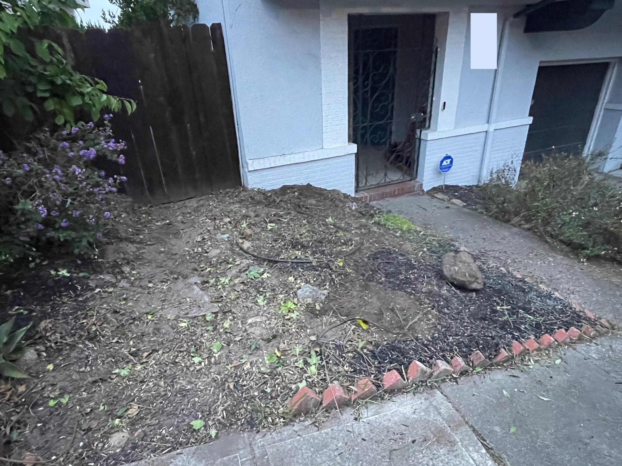 Landscaping Step #2: Dig out all the roots of the dead plants.