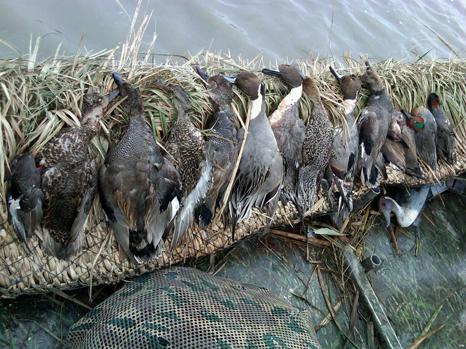 Photos Fin & Feather Guides