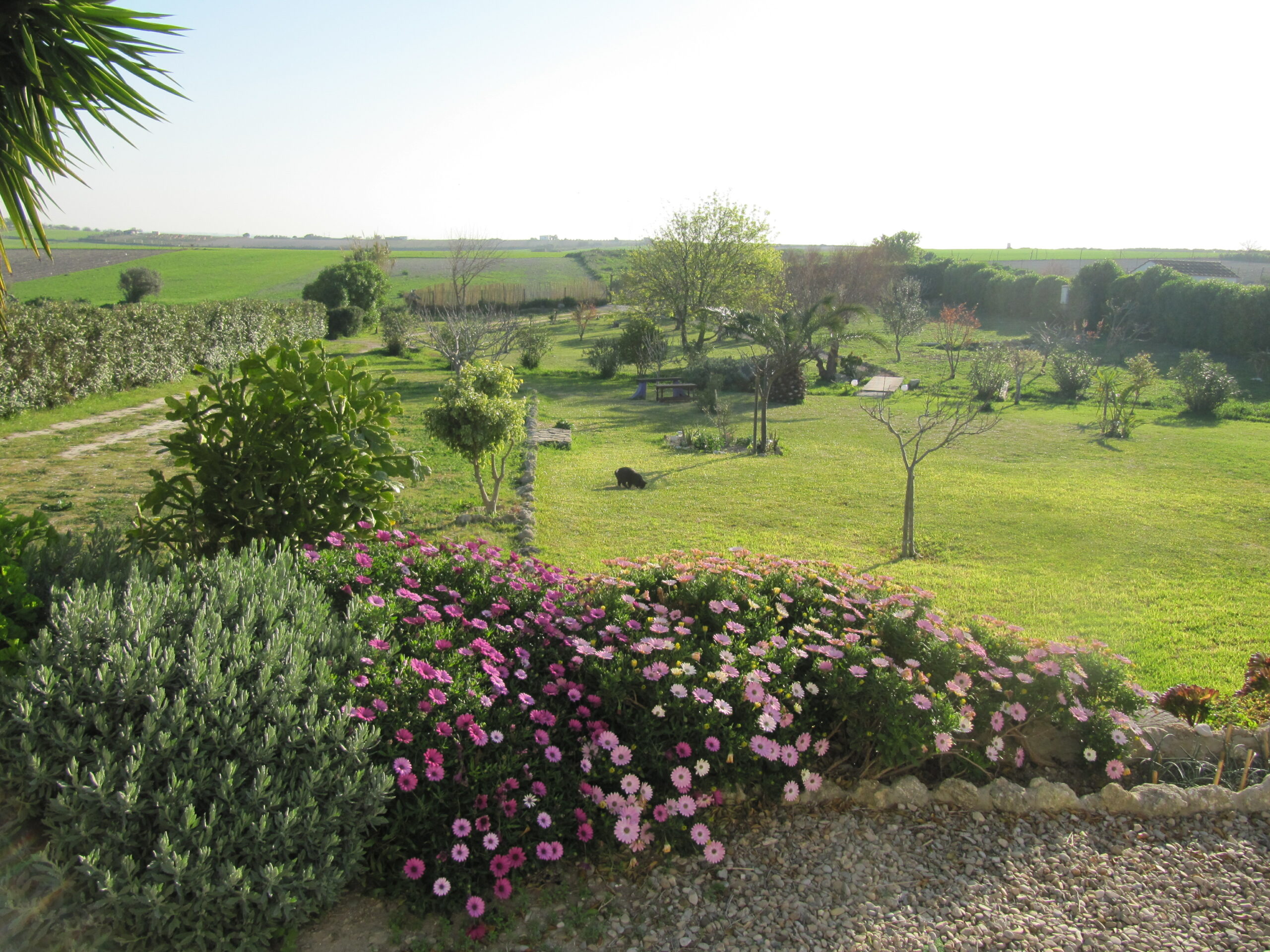 B&B Andalusië Bed and Breakfast Nederlandse eigenaren