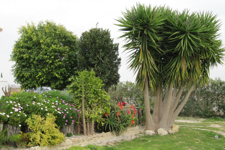 B&B Andalusië Bed and Breakfast Nederlandse eigenaren