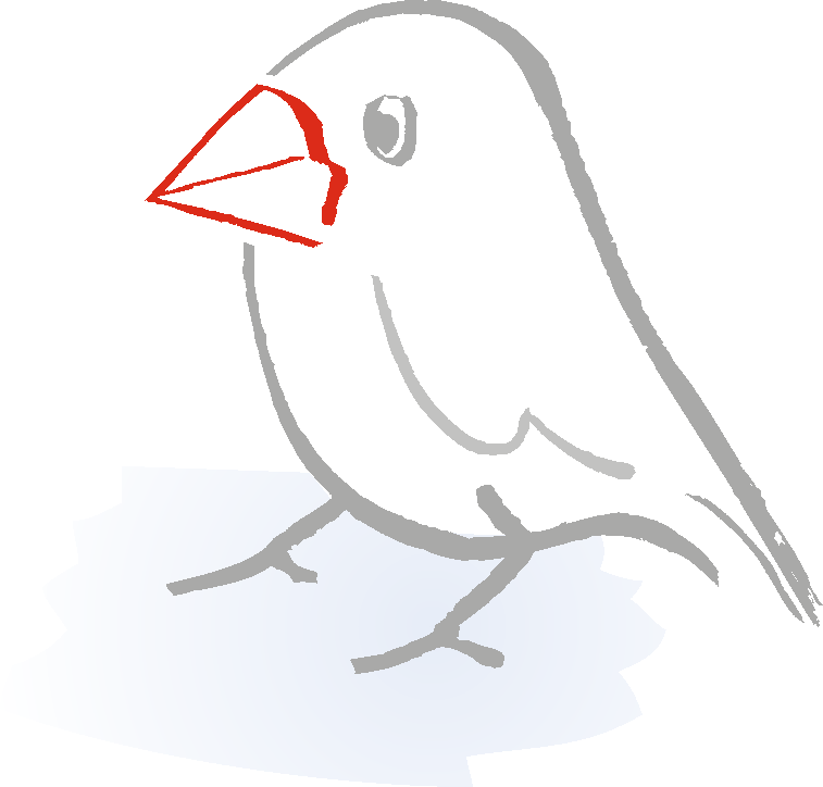 Finch Computer Services Computer Sales & Services