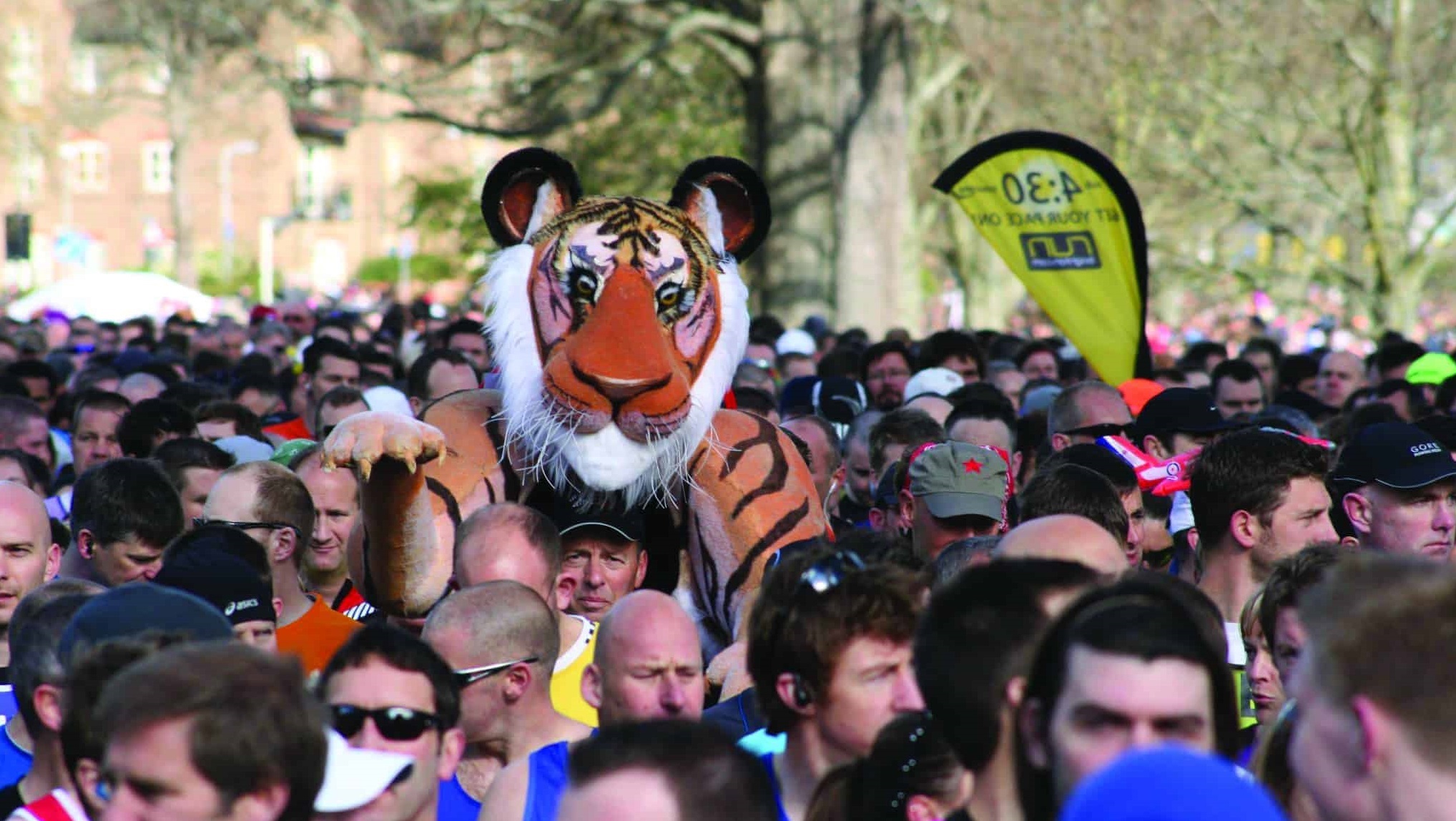 Finchley Hall Professional Portfolio