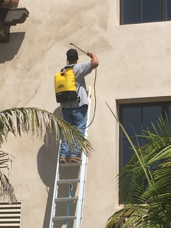 Best Carpet Cleaning Services in Santa Barbara.