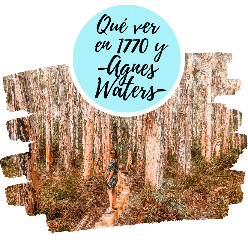 Lo mejor que ver en Agnes Water y 1770 【 2023