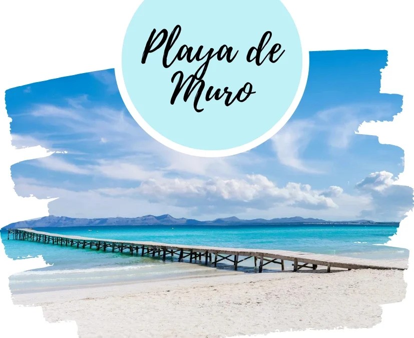 Playa de Muro en Mallorca【Guía Completa】2023