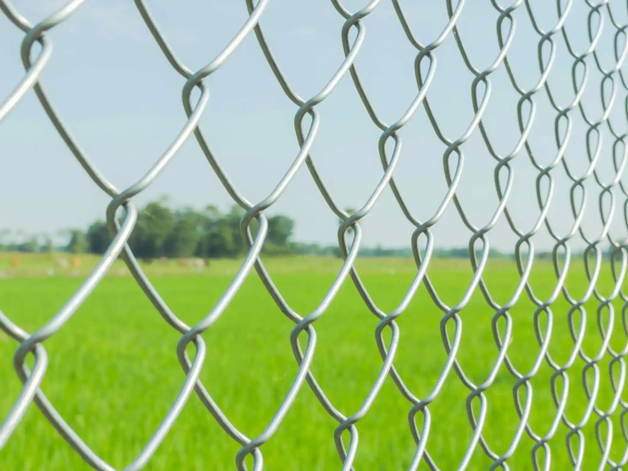 How Long Does Chain Link Fence Last? (Factors & Maintenace)