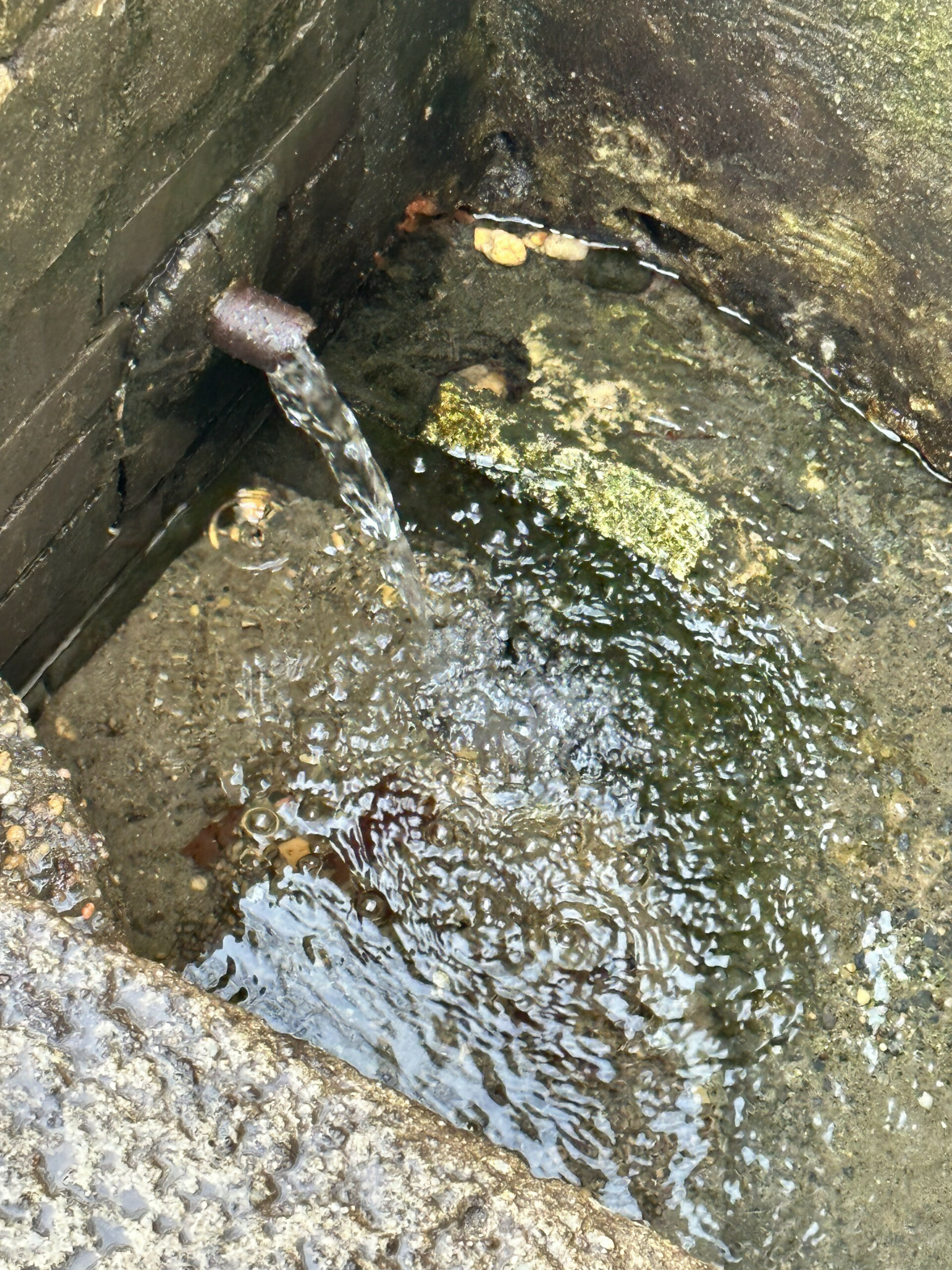 Thompson Park Spring Find A Spring