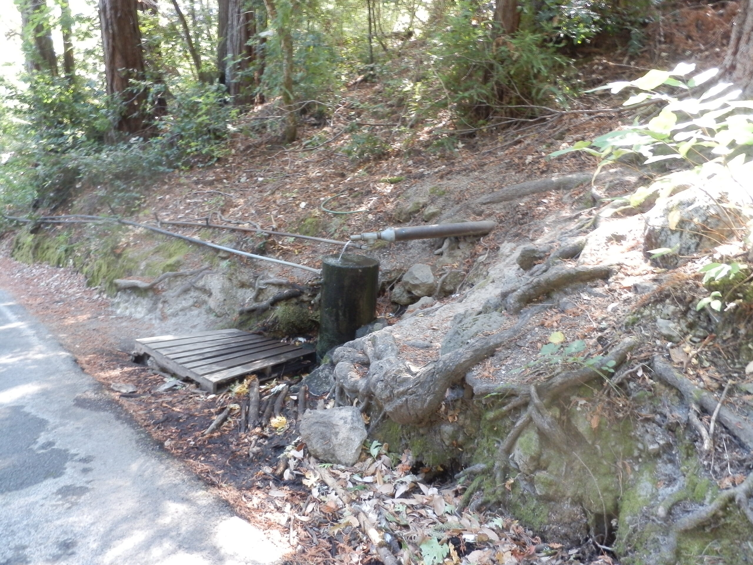 Howel Mountain Spring, Angwin, CA Find A Spring