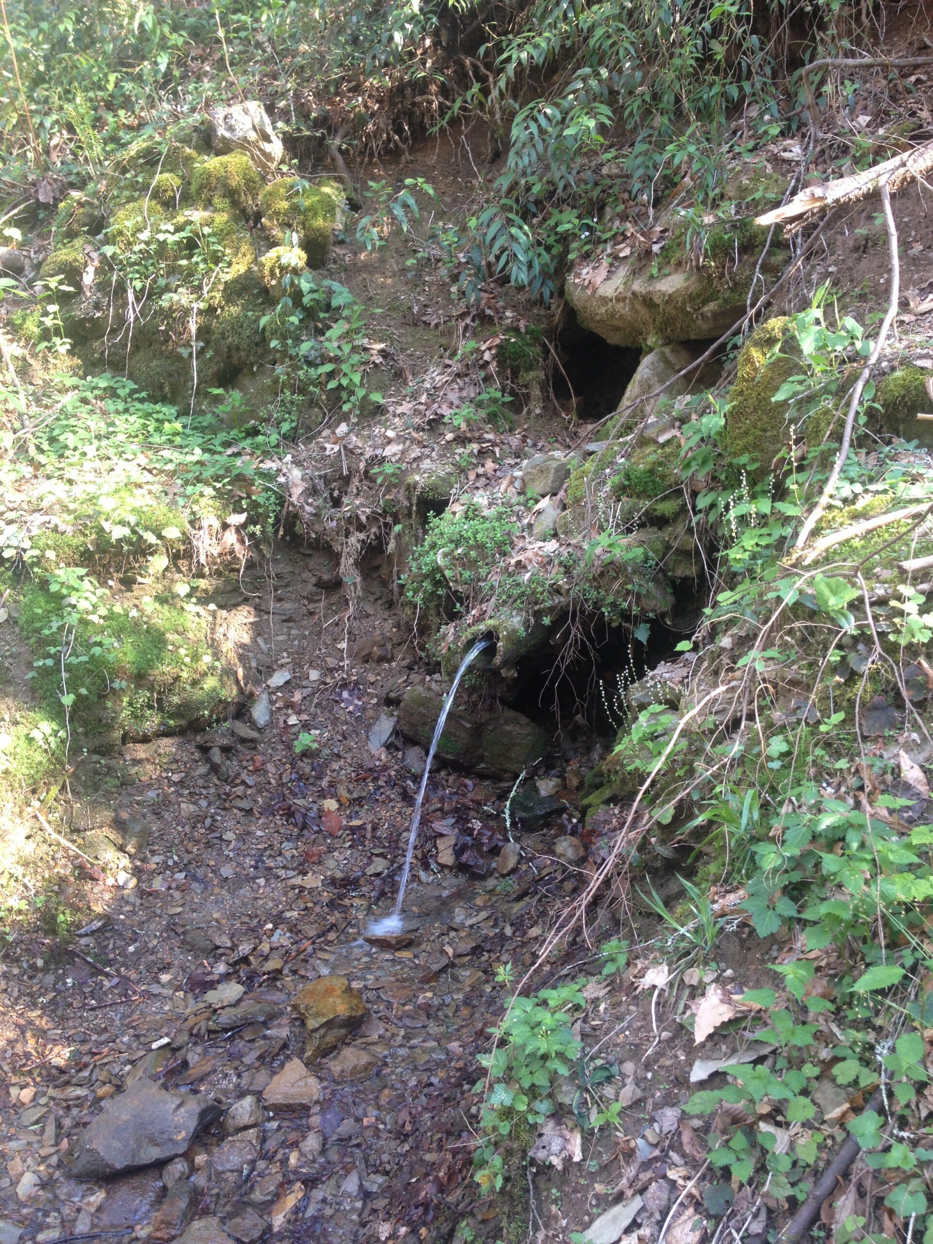 Kinzel Springs,Townsend, Tennessee, 37882 Find A Spring