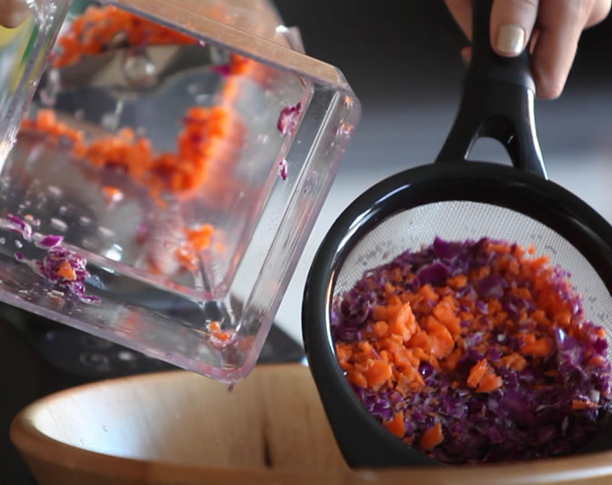 Blendtec Blender Review Best Blender For Smoothies & Juices