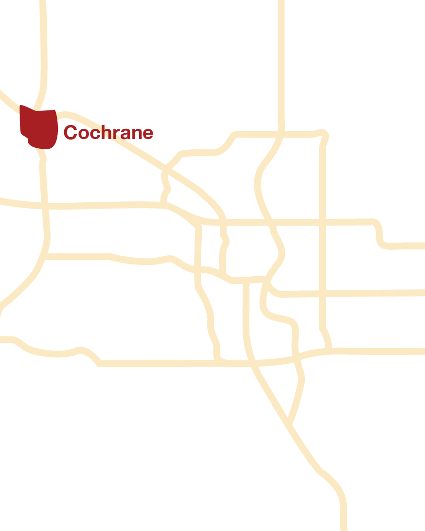 Homes for Sale in Communities Near Calgary MLS Listing Realtor