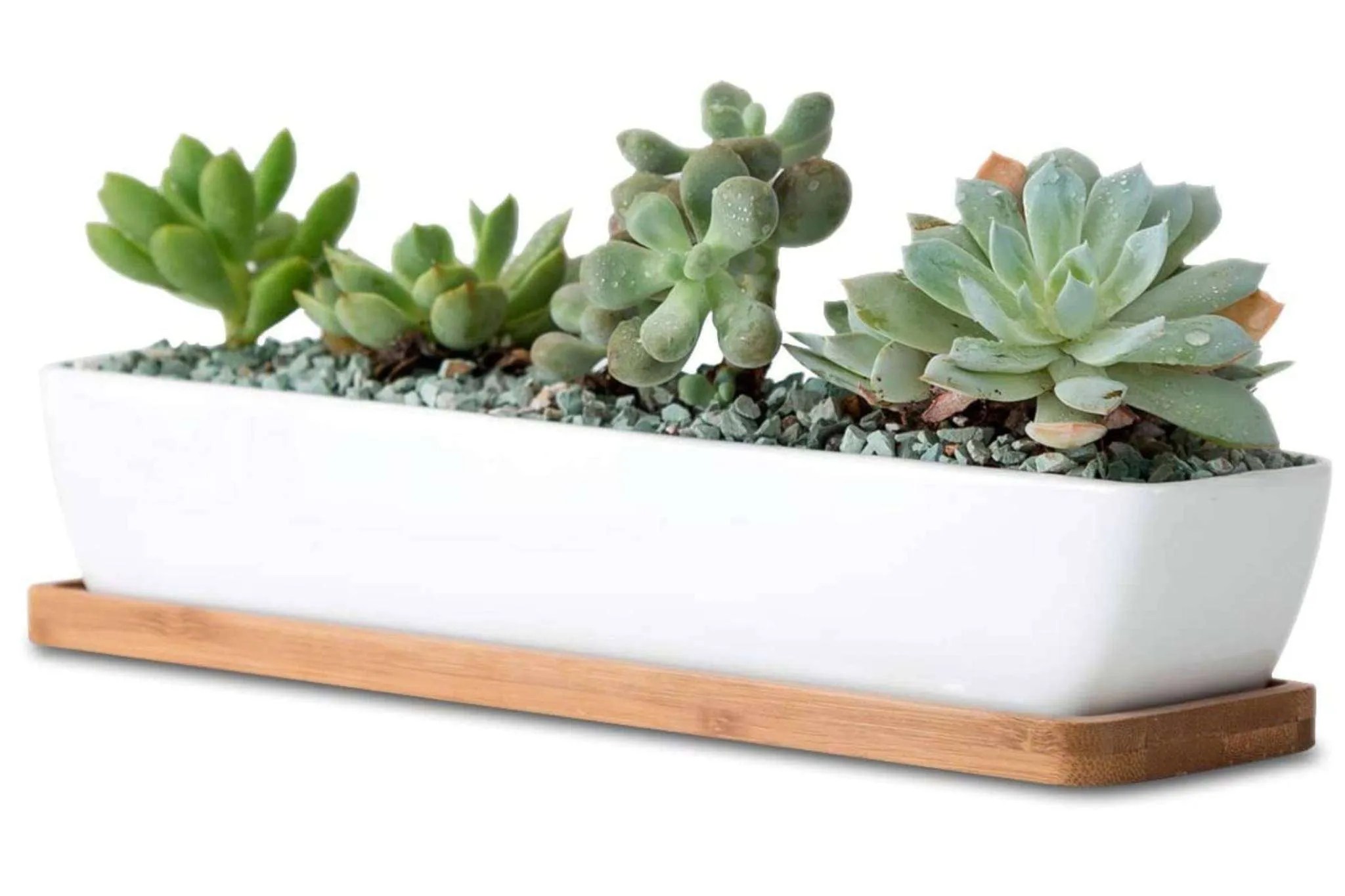 The Best Succulent Pots On Amazon
