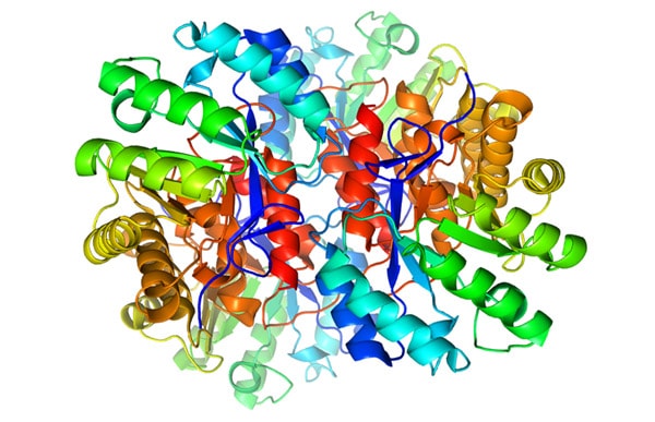 cdifficilecrystalstructure FindersFree What do you want to find out?