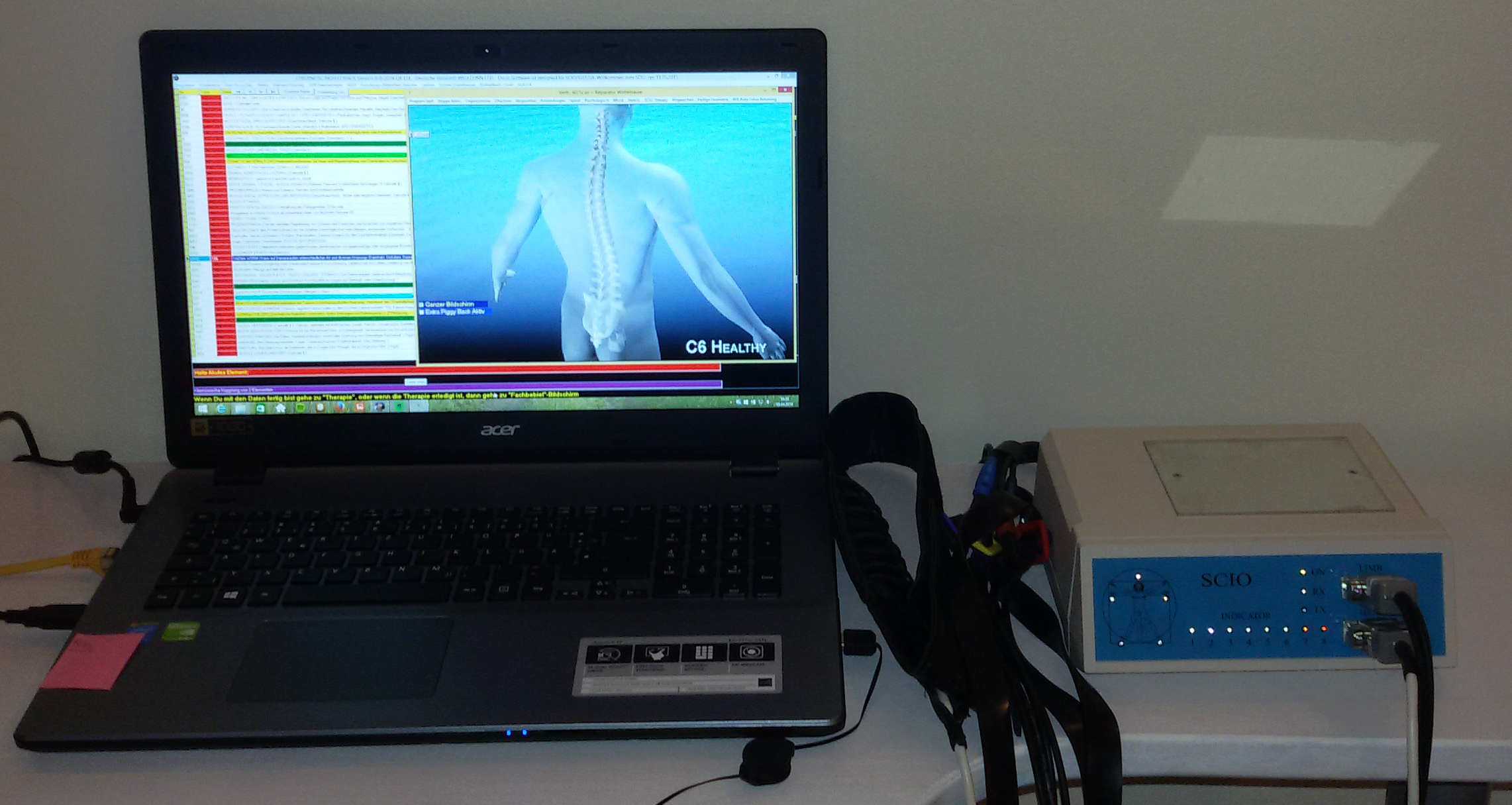 SCIOUnterstützung für die Stabilisierung und Organstärkung Finde