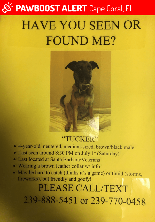 Lost Male Dog in Cape Coral, FL 33904 Named Tucker (ID 4677257) PawBoost