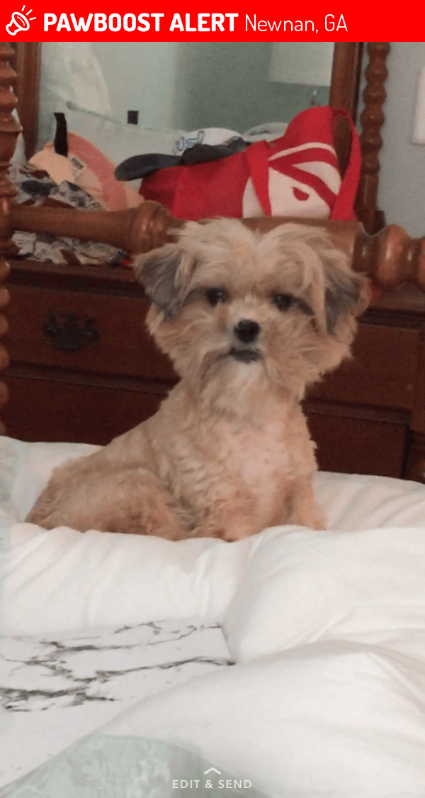 Lost Female Dog in Newnan, GA 30265 Named Dixie (ID 4689514) PawBoost