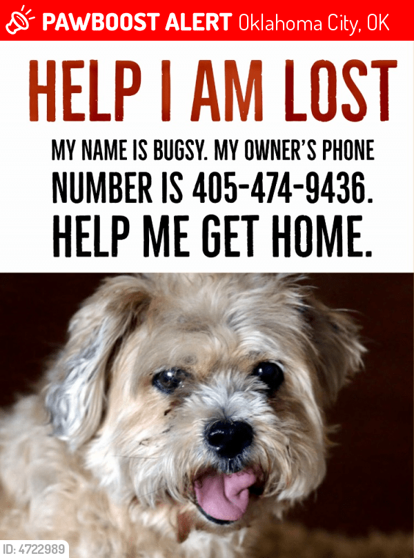 Lost Male Dog in Oklahoma City, OK 73112 Named Bugsy (ID 4722989