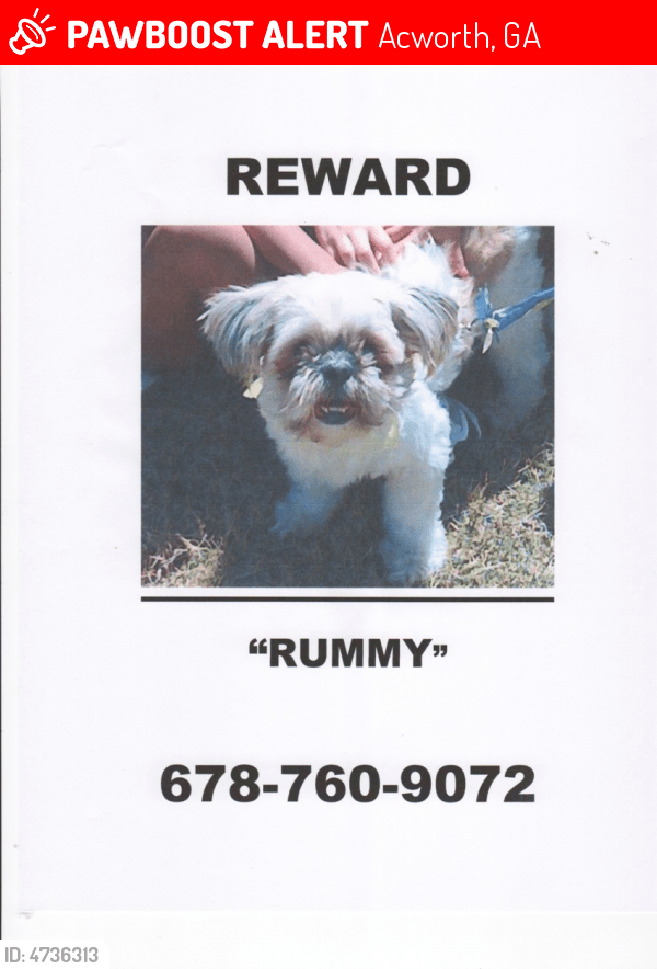 Lost Female Dog in Acworth, GA 30101 Named Rummy (ID 4736313) PawBoost