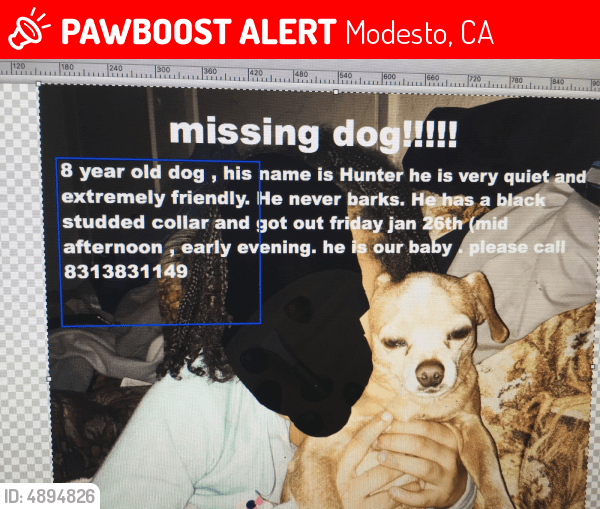 Lost Male Dog in Modesto, CA 95350 Named Hunter (ID 4894826) PawBoost