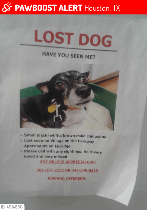 Lost Male Dog in Houston, TX 77077 Named Blacky (ID 4914860) PawBoost
