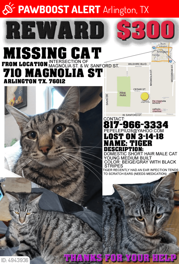 Lost Male Cat in Arlington, TX 76012 Named Tiger (ID
