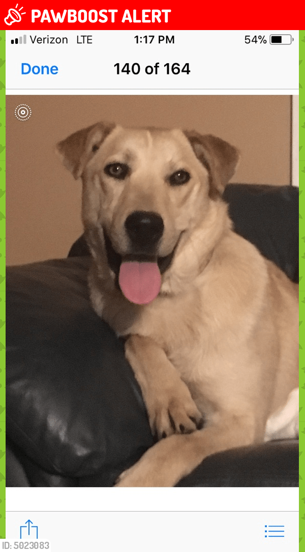 Lost Female Dog in Olde West Chester, OH 45069 Named Hope (ID 5023083