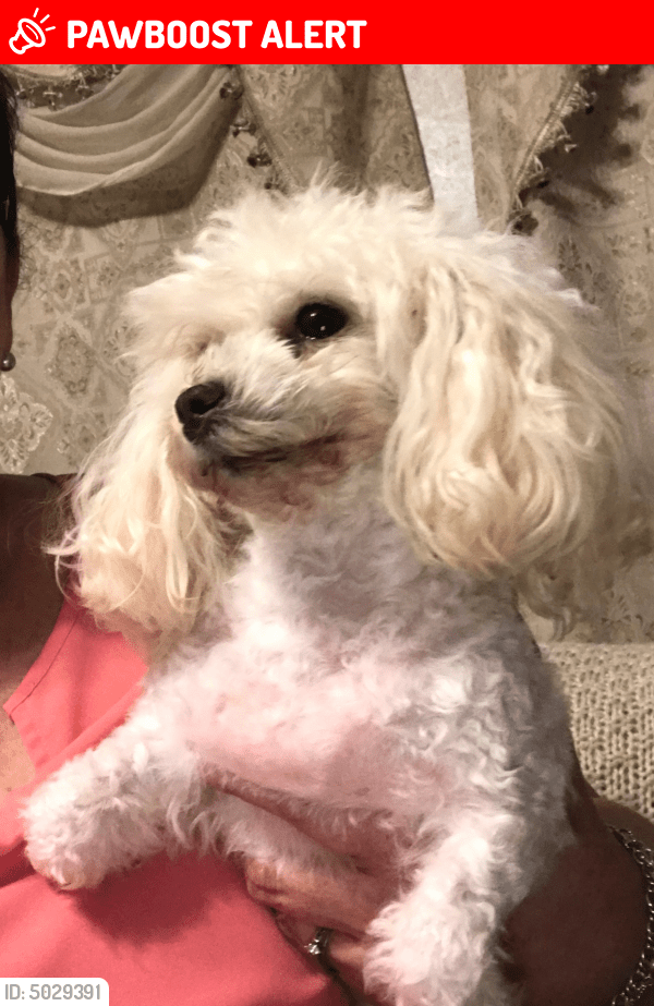 Famous Brookside Puppies 2022