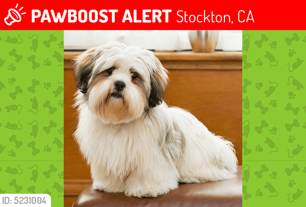 Lost Male Dog in Stockton, CA 95205 Named Max (ID 5231004) PawBoost