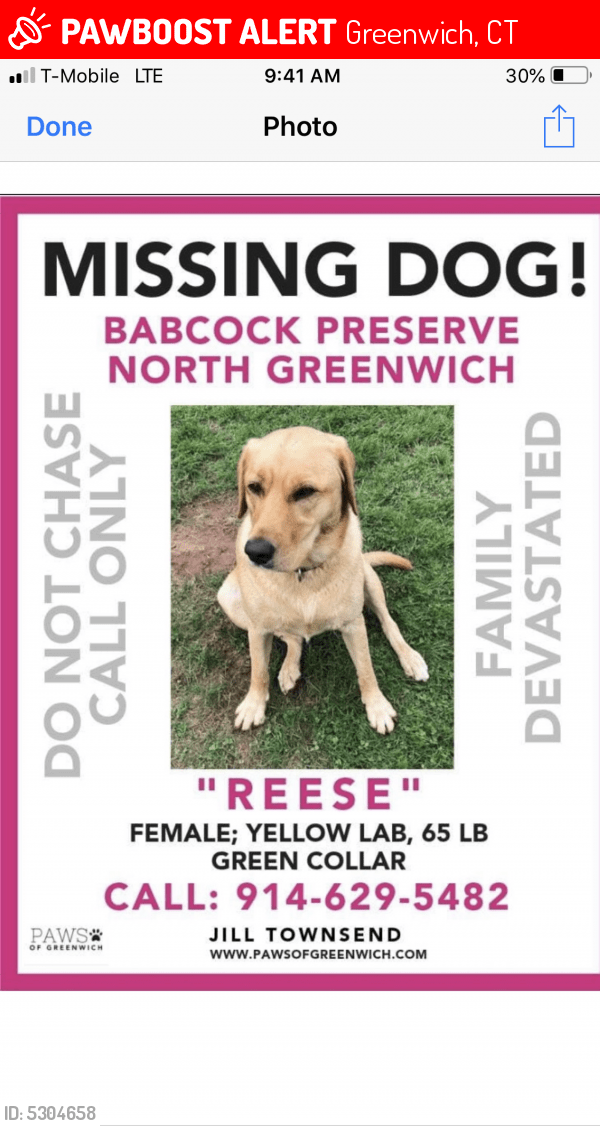 Greenwich Hospital Labs