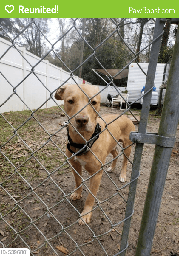 Citrus County Animal Shelter Hours petfinder