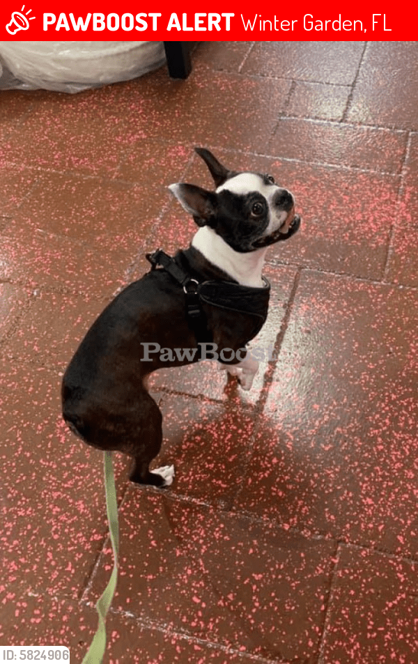 Petsmart Vet Winter Garden / Here's my Pet Photo Animal photo, Pets